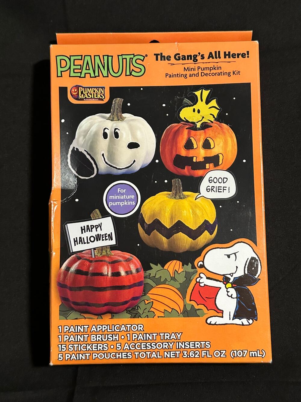 Peanuts Snoopy Pumpkin Masters Mini Pumpkin Painting Decorating Kit Halloween